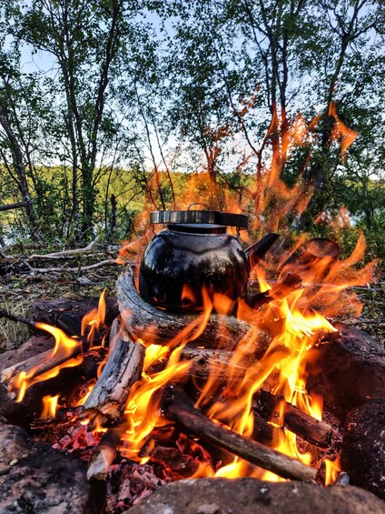 Picture 2 for Activity Lemmenjoki: Sami Culture Tour with Boat Trip & Lunch 2