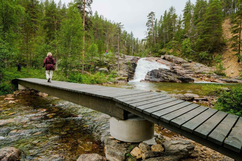 Picture 3 for Activity Lemmenjoki: Sami Culture Tour with Boat Trip & Lunch 3