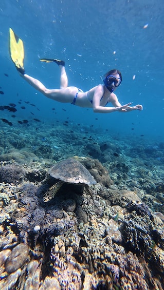 Picture 5 for Activity Gili Nanggu Snorkeling with GoPro & Rice Terraces visiting 5
