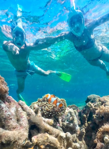 Picture 7 for Activity Gili Nanggu Snorkeling with GoPro & Rice Terraces visiting 3