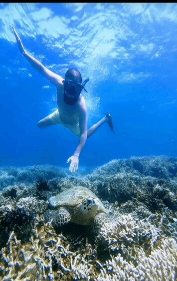Picture 6 for Activity Lombok: Gili Nanggu Snorkeling & Rice Terrace visiting 2
