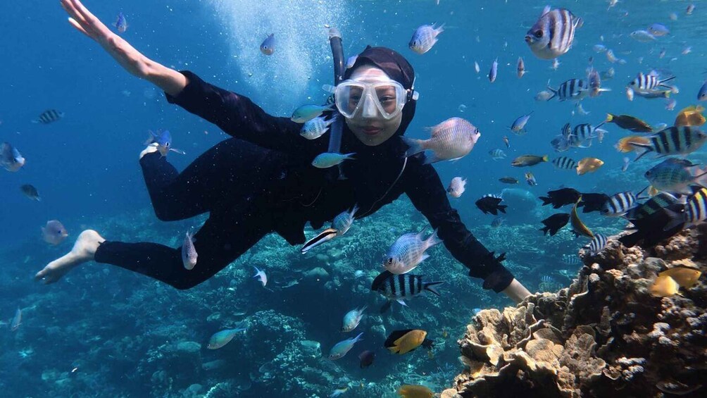 Gili Nanggu Snorkeling with GoPro & Rice Terraces visiting 1