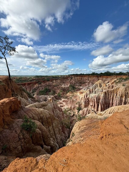 A rugged canyon landscape with layered rock formations and sparse vegetation. 5