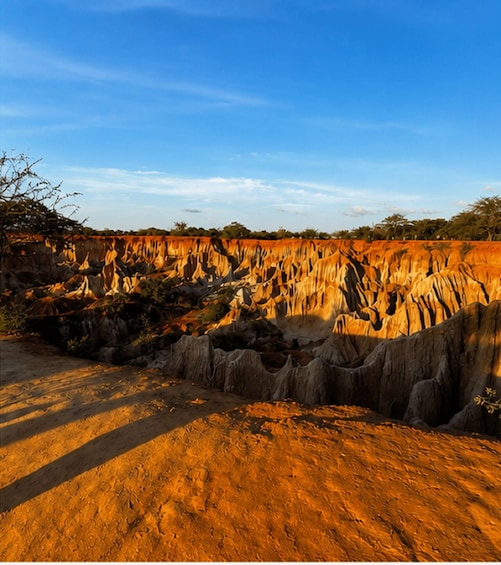 Picture 9 for Activity From Malindi: Mambrui Sand Dunes and Marafa Canyon Tour 4