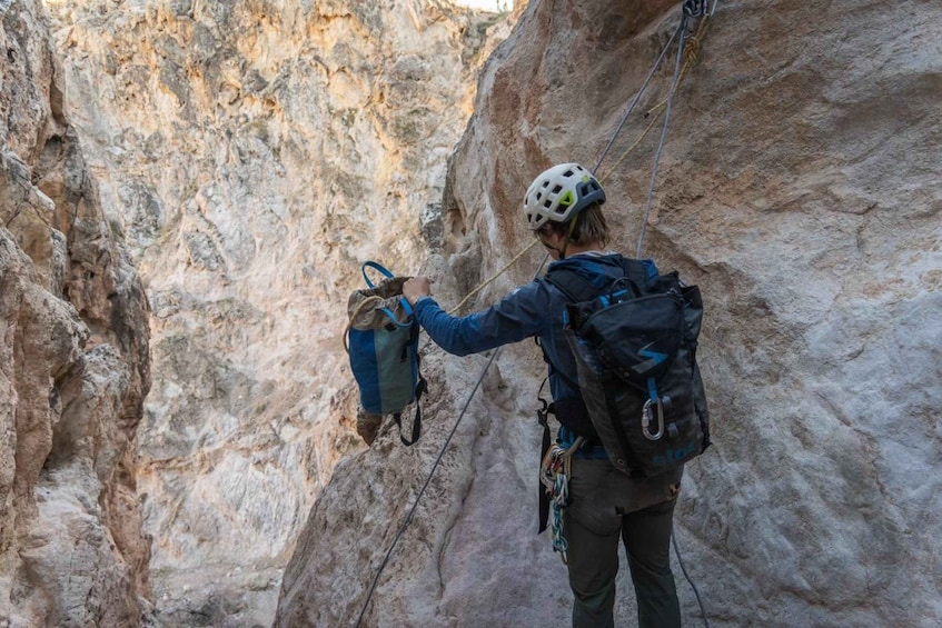 Picture 4 for Activity Zion: Canyoneering and Rappelling Experience 4