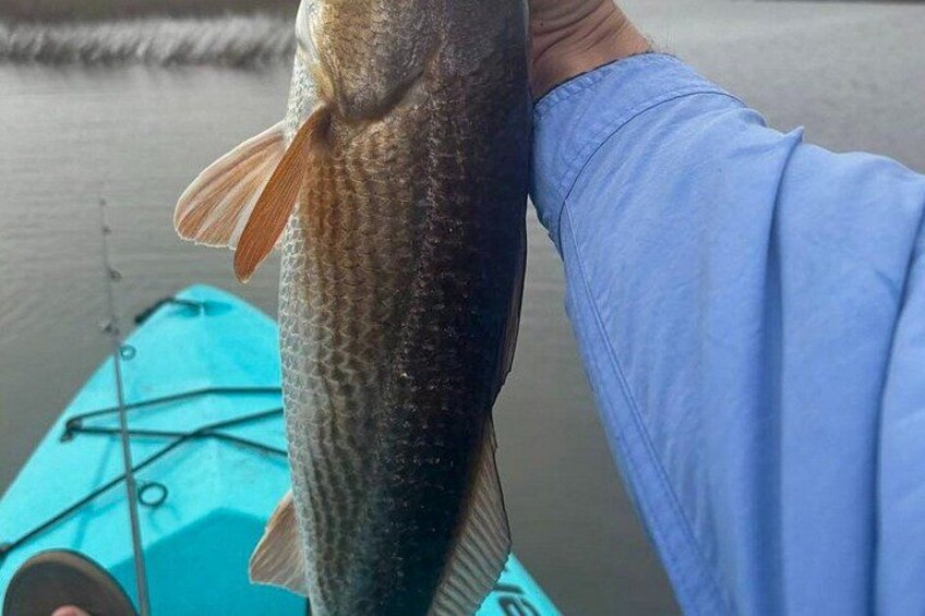 Guided Fishing Adventure in Amelia and Talbot Islands 3