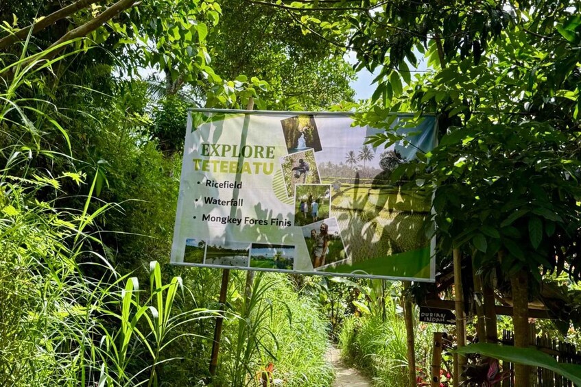 Picture 49 for Activity Lombok: Tetebatu Village Eco-Walking,Jungle,Waterfalls Tour 2