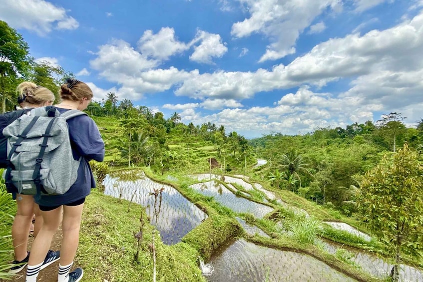 Lombok: Tetebatu Village Eco-Walking,Jungle,Waterfalls Tour 1