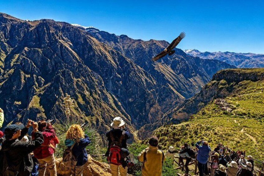 Arequipa to Puno via Colca Canyon 2 days with hotel 1
