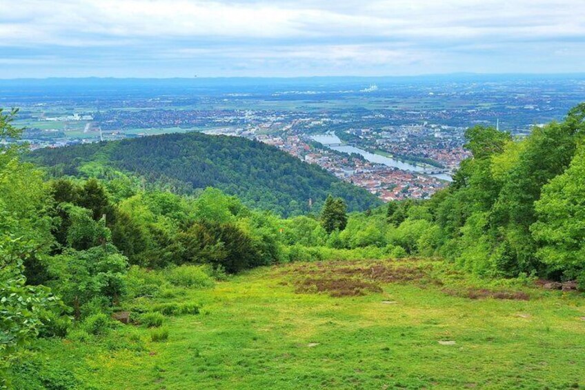 Premium tour with city and castle and Königstuhl Panorama 3