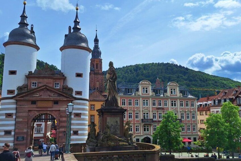 Premium tour with city and castle and Königstuhl Panorama 4
