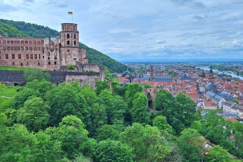 Premium tour with city and castle and Königstuhl Panorama 1