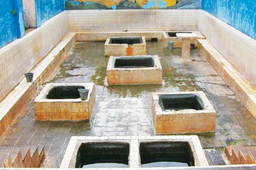 Picture 8 for Activity From Trincomalee: Anuradhapura Guided Heritage Tour 5