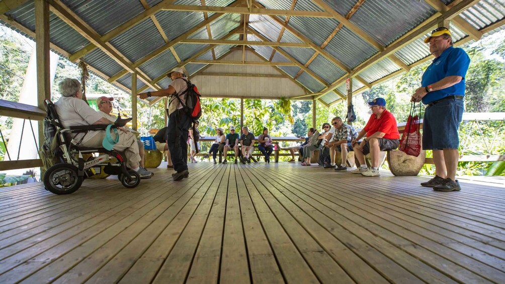 Picture 2 for Activity Veragua Rainforest Eco-Adventure - Puerto Limon, Costa Rica 3