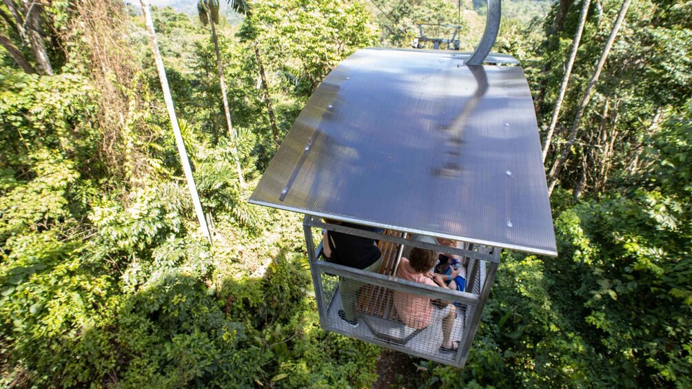 Picture 3 for Activity Veragua Rainforest Eco-Adventure - Puerto Limon, Costa Rica 2