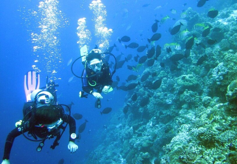 Picture 7 for Activity Mactan Island: Fun Diving Tour 4