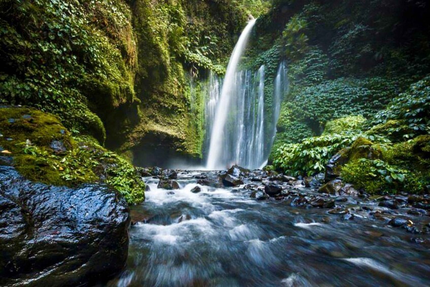 A waterfall cascading over moss-covered rocks in a lush forest. 1