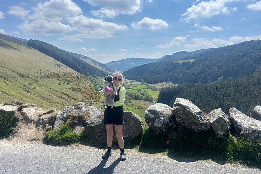A person standing on a road with a dog in a backpack, surrounded by a mountainous landscape. 3