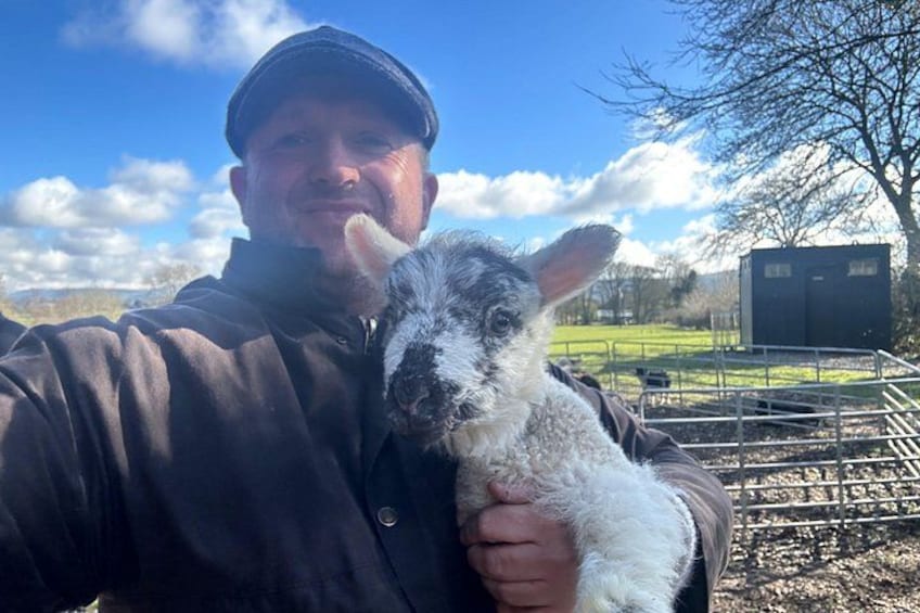Wicklow at lambing time can be fun 1