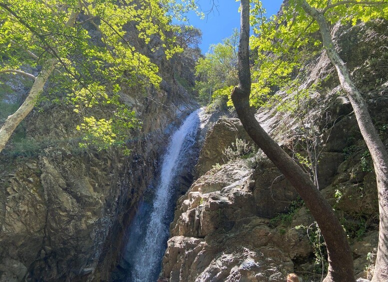 Picture 1 for Activity Meet the locals of Troodos Mountains 3