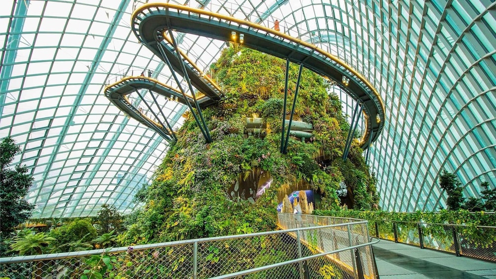 Picture 5 for Activity Gardens by the Bay Entry Ticket W Audio Tour & Light Show 5