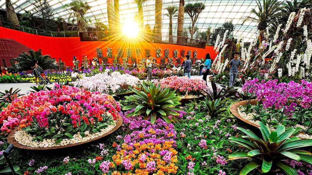 Picture 3 for Activity Gardens by the Bay Entry Ticket W Audio Tour & Light Show 4