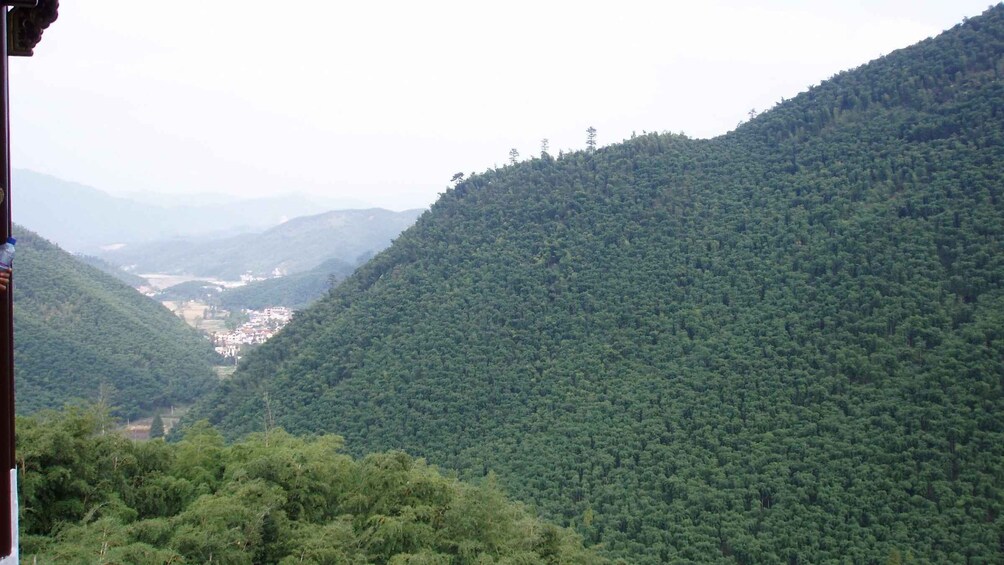 Chengdu: Bamboo Forest & Farmhouse Firewood Chicken Day Trip 1