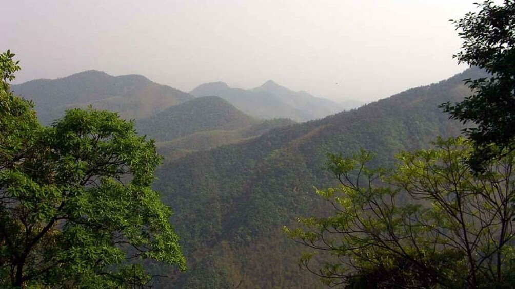 Picture 4 for Activity Chengdu: Bamboo Forest & Farmhouse Firewood Chicken Day Trip 3