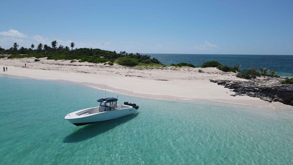 Private Boat Charter with Snorkeling/Swimming Pigs & Drinks 1