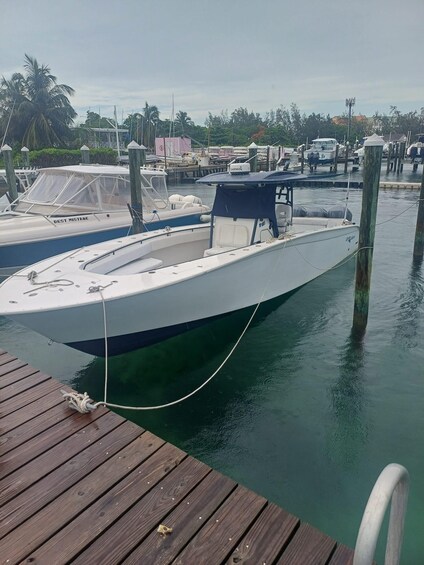 Picture 4 for Activity Private Boat Charter with Snorkeling/Swimming Pigs & Drinks 2