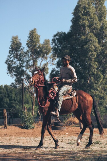 Picture 3 for Activity Saddle Creek: Horseback Riding, Quad Biking, and Picnic 3
