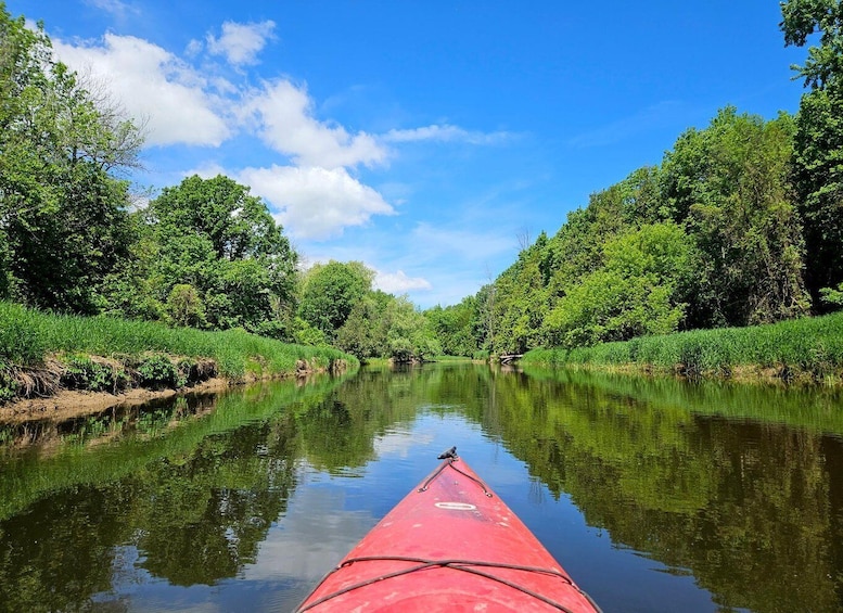 Picture 3 for Activity Wasaga Beach: Nottawasaga River Canoe, Kayak, or SUP Rental 5