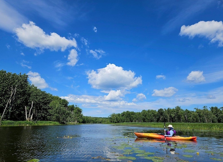 Picture 4 for Activity Wasaga Beach: Nottawasaga River Canoe, Kayak, or SUP Rental 4