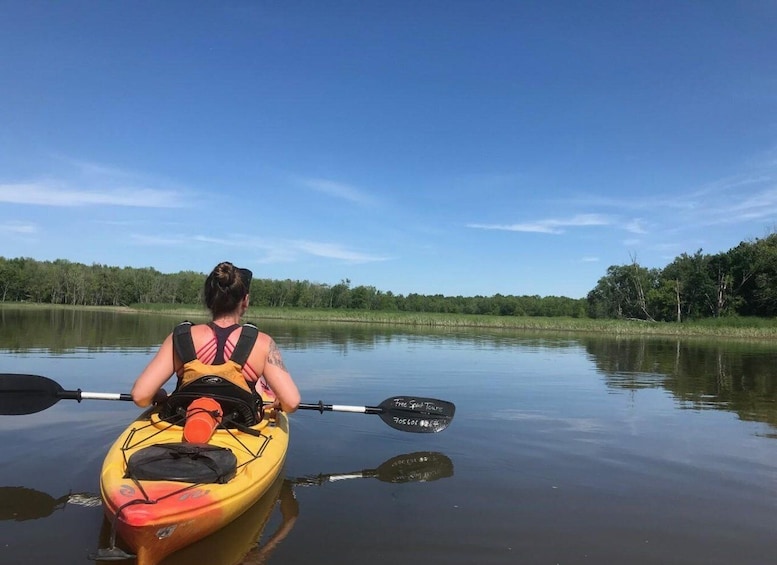 Wasaga Beach: Nottawasaga River Canoe, Kayak, or SUP Rental 1