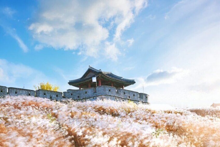 Suwon Hwaseong Fortress Waujeongsa Temple Tour from Seoul 5
