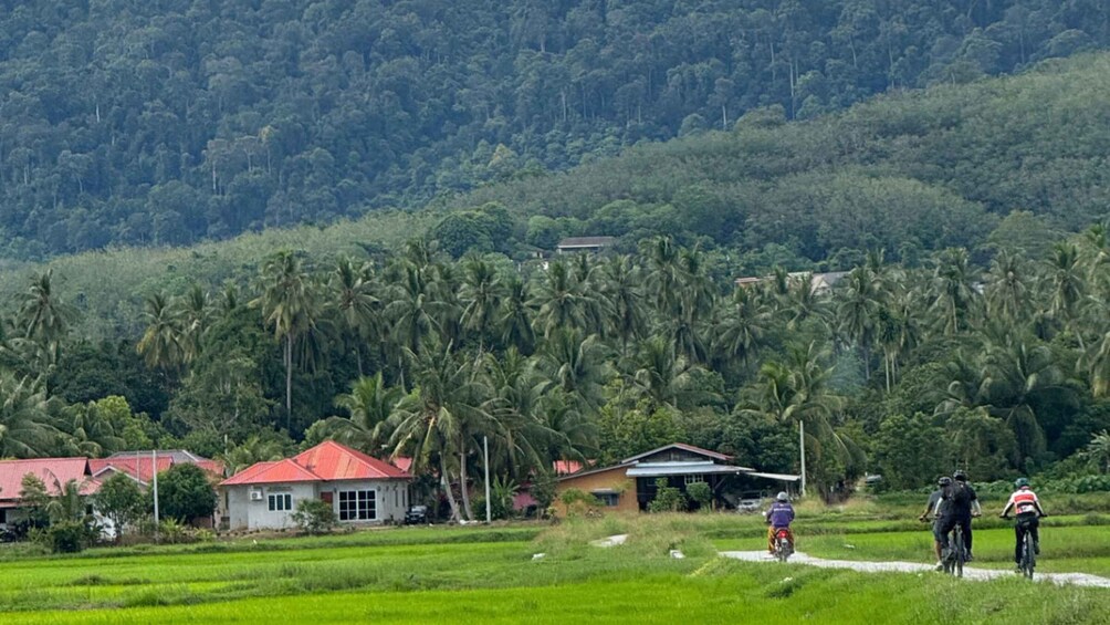 Picture 7 for Activity Langkawi: Jet Ski Fishing & Countryside Cycling Tour 3