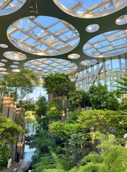 A modern building with a glass ceiling and lush indoor greenery. 5