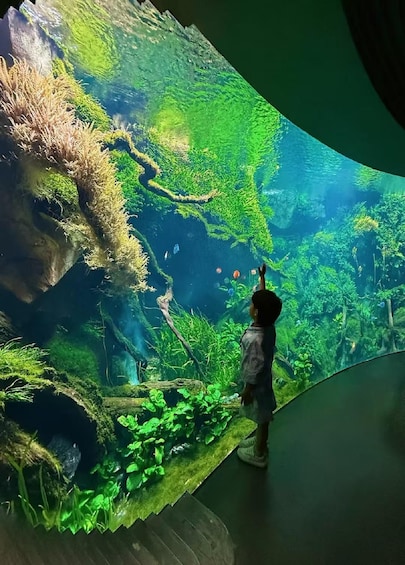 A child observing a large, detailed aquarium display. 1