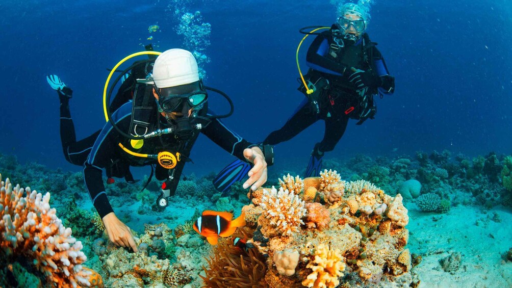 Picture 22 for Activity Nha Trang: Private Hidden Islands with Snorkeling & BBQ 5