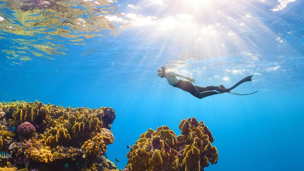 Nha Trang: Private Hidden Islands with Snorkeling & BBQ 3
