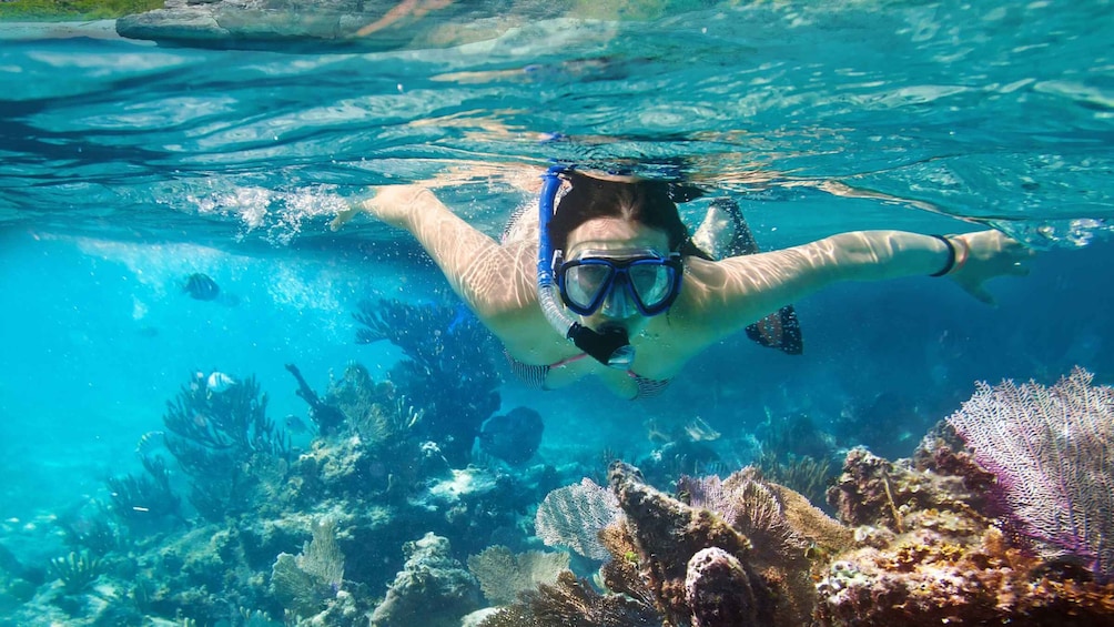 Picture 1 for Activity Nha Trang: Private Hidden Islands with Snorkeling & BBQ 5