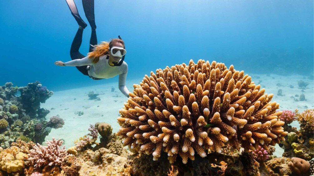 Picture 21 for Activity Nha Trang: Private Hidden Islands with Snorkeling & BBQ 5