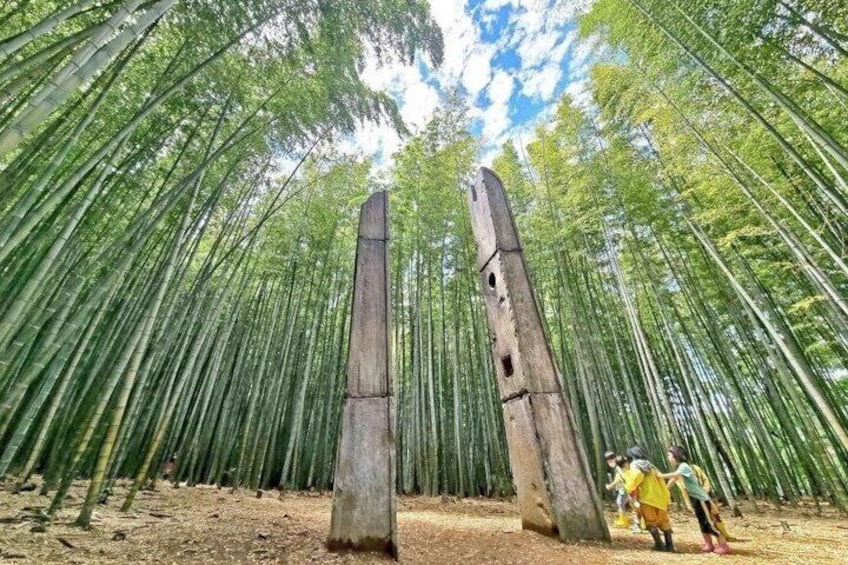 Gyeongju Cultural Heritage and Nature Day Tour from Busan 2
