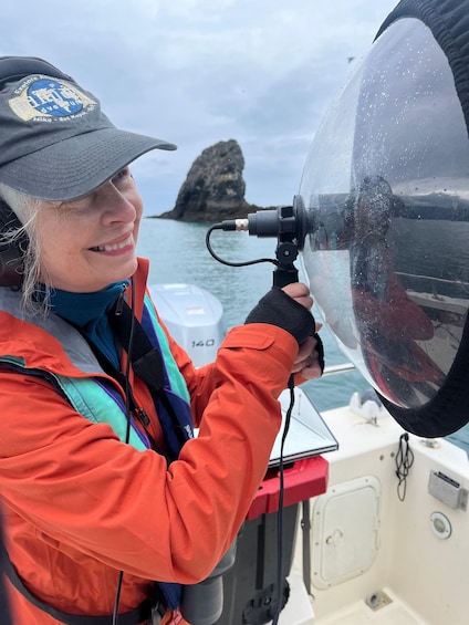 Picture 2 for Activity Homer, Alaska: Touring Kachemak Bay Tour 3