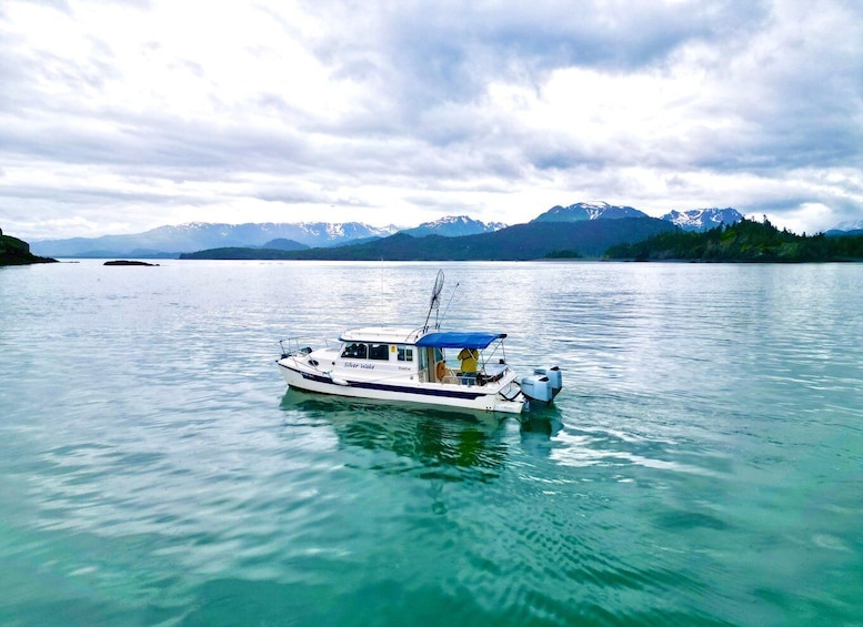 Homer, Alaska: Touring Kachemak Bay Tour 1