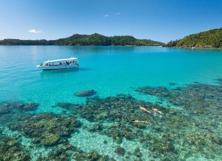 Picture 3 for Activity Hamilton Island: Full Day Whitehaven Beach & Snorkel 3