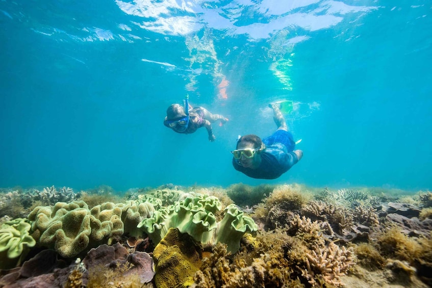 Picture 8 for Activity Hamilton Island: Full Day Whitehaven Beach & Snorkel 5