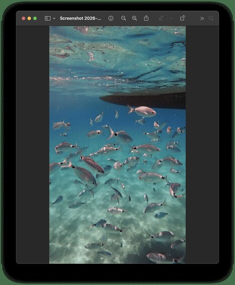 Picture 3 for Activity Snorkeling Experience in Chia and Pula: Inflatable Boat Tour 2
