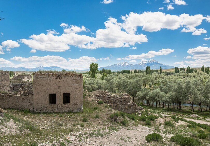 Picture 6 for Activity Cappadocia: Blue Tour with Soğanlı Valley, Lunch & Transfers 5