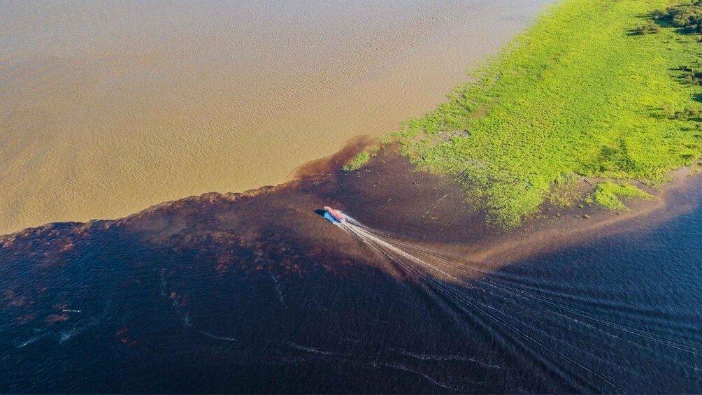 Picture 2 for Activity Manaus Speedboat Tour: Transfer, Meeting of the Waters, Dolphins & Lunch 4